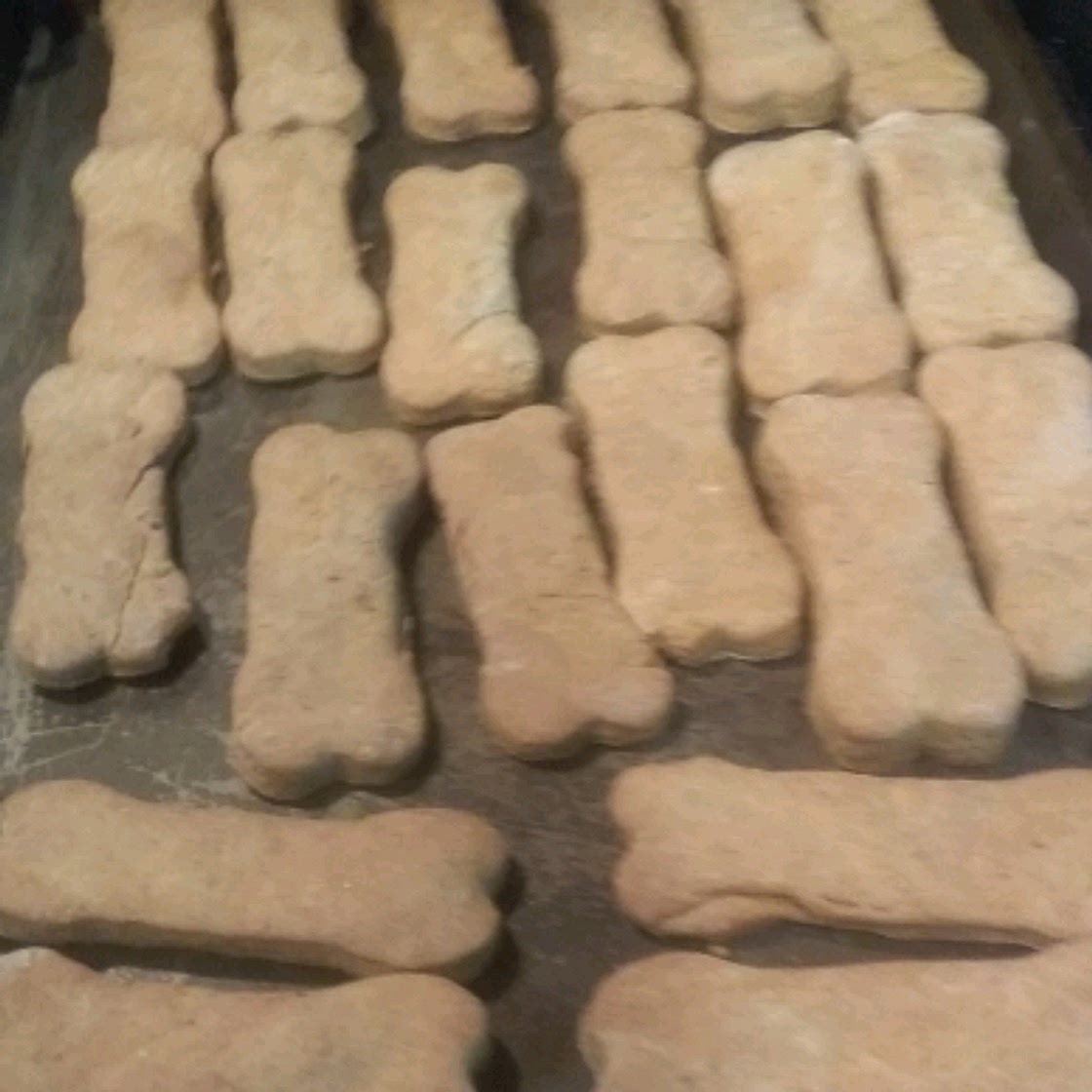 Peanut Butter and Pumpkin Dog Treats