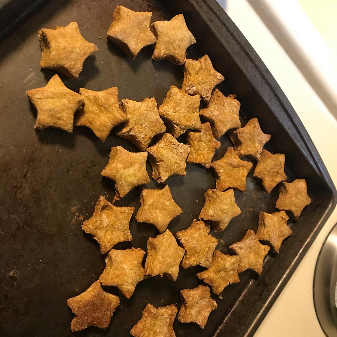 Peanut Butter and Pumpkin Dog Treats
