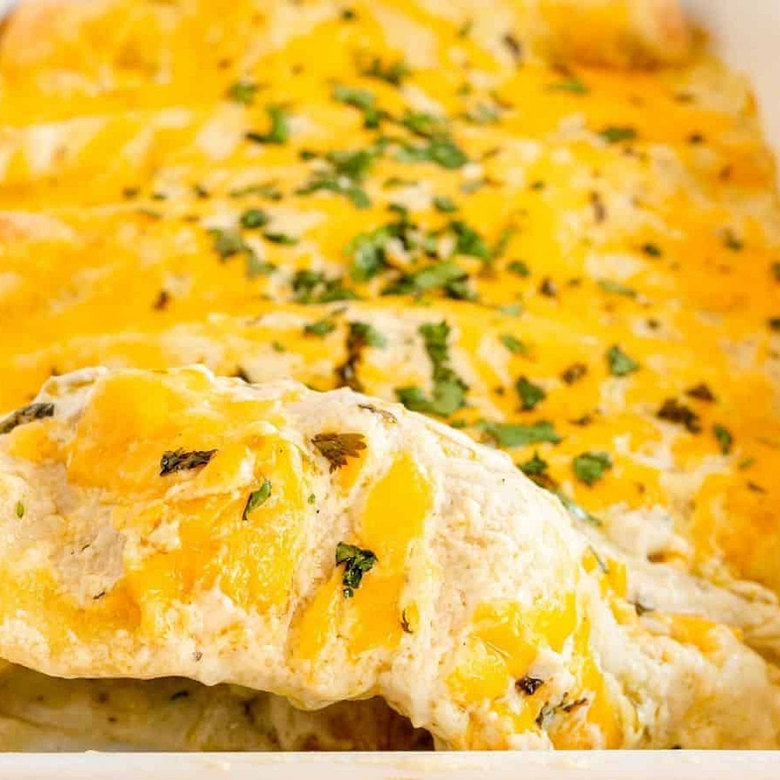 Simple Sour Cream Chicken Enchiladas
