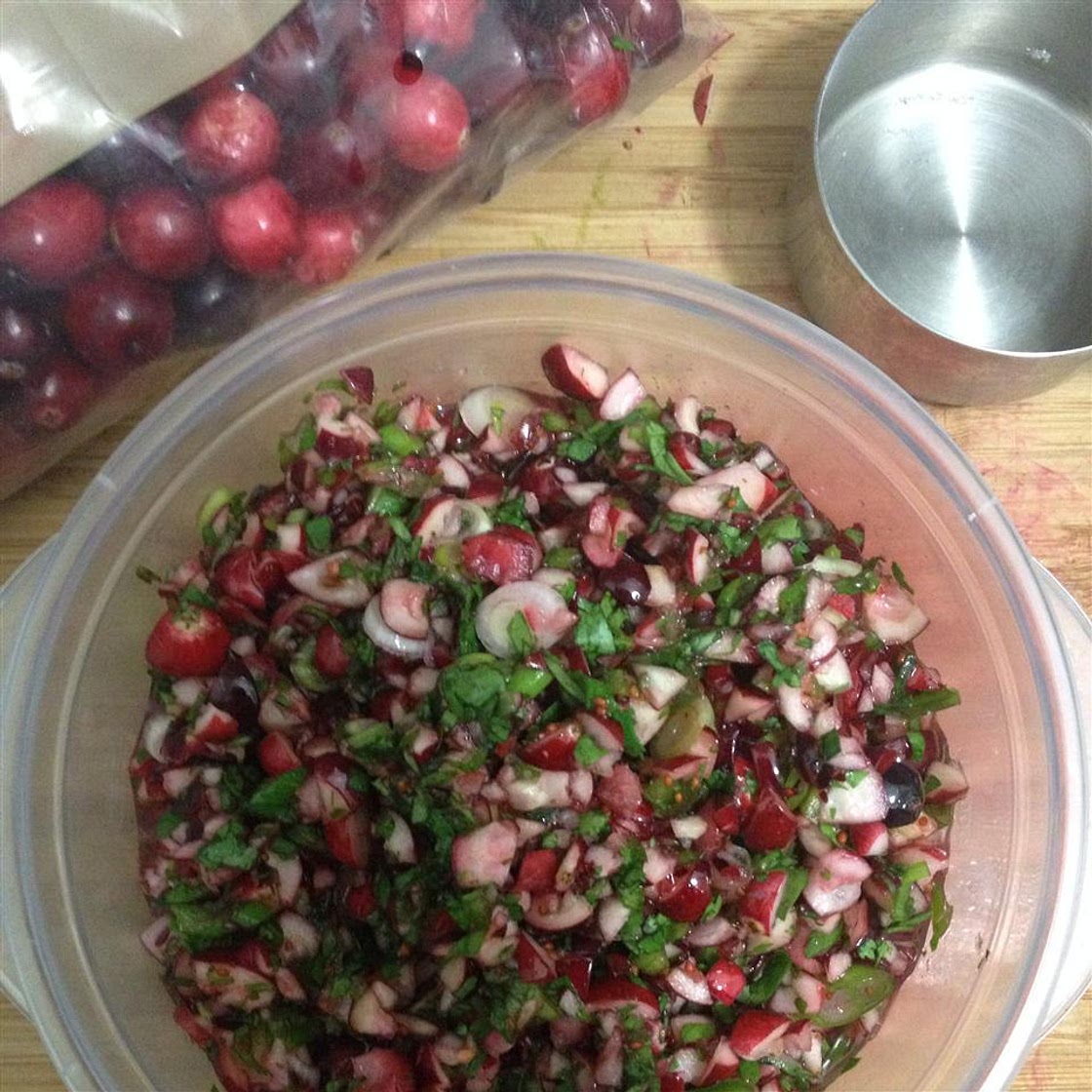 Cranberry Salsa