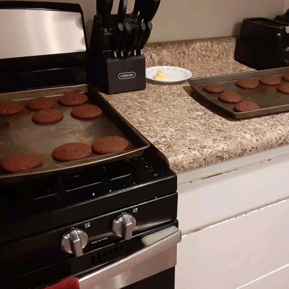Chocolate Chocolate Chip Cookies I
