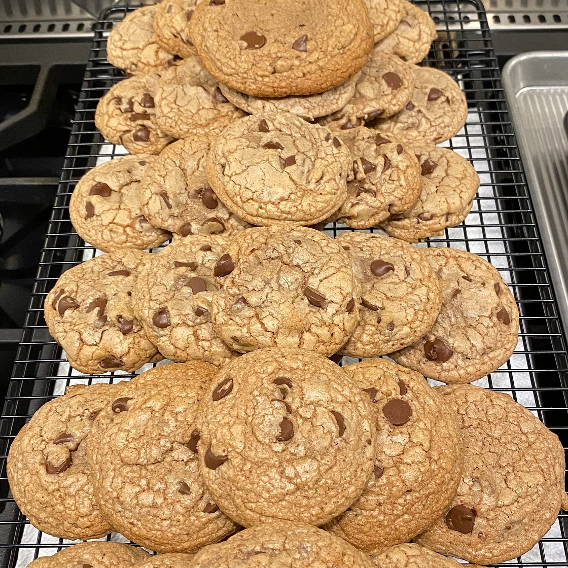 Chocolate Chocolate Chip Cookies I