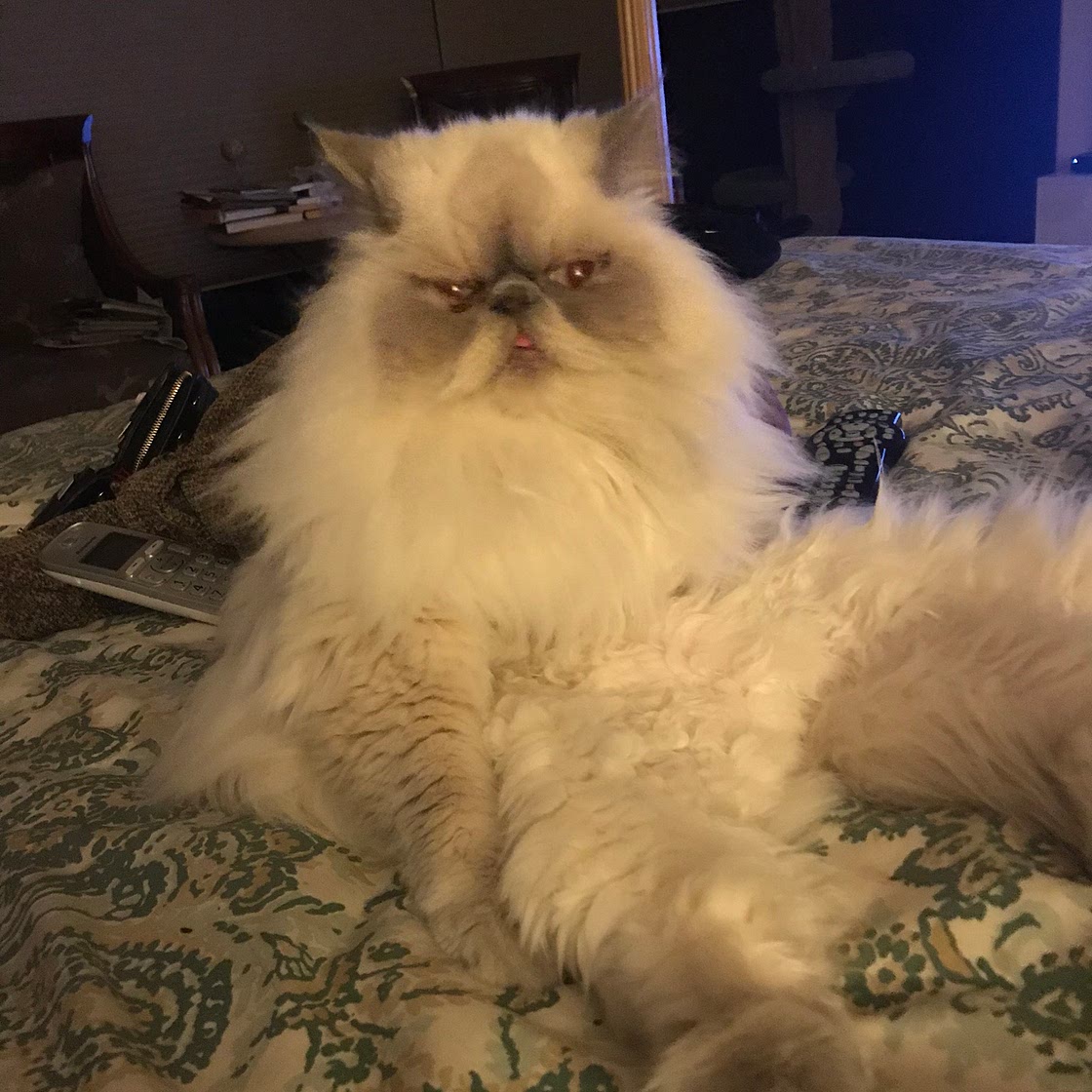 Creme Brulee French Toast