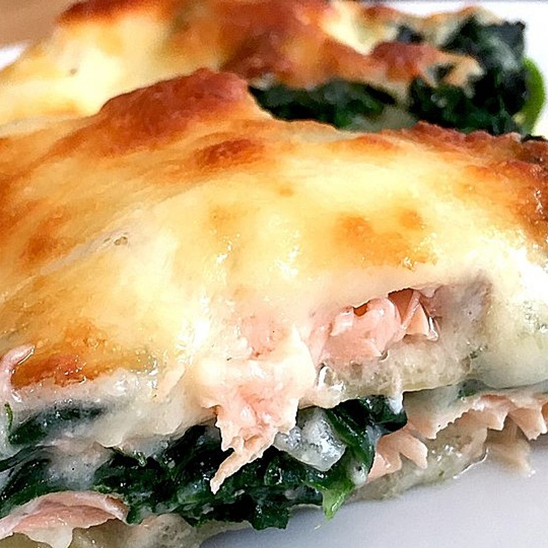 Spinat - Lachs - Lasagne