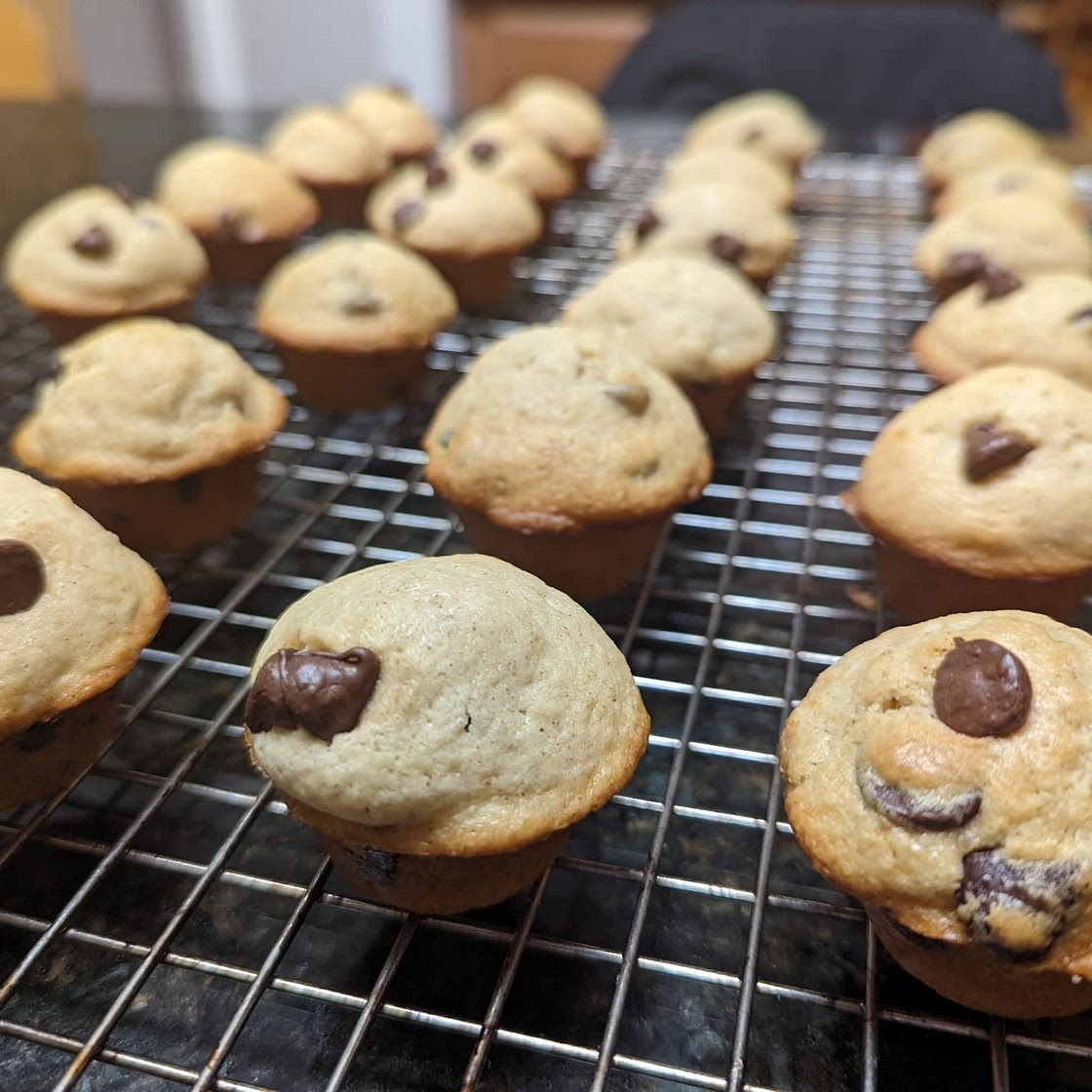 Bakery-Style Chocolate Chip Muffins