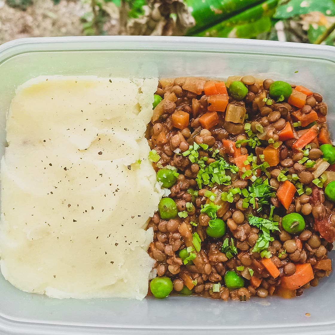 Vegan Shepperd Pie with Mash Potatoes