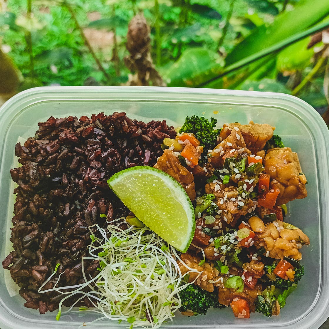 Tempeh Teriyaki with Broccoli on Rice