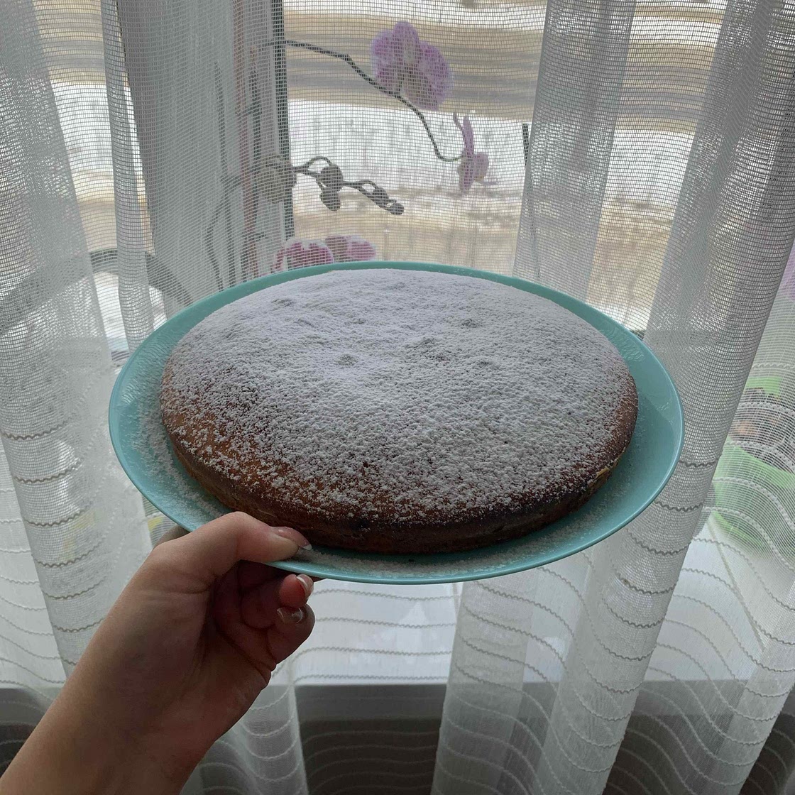 LEMONY OLIVE OIL CAKE