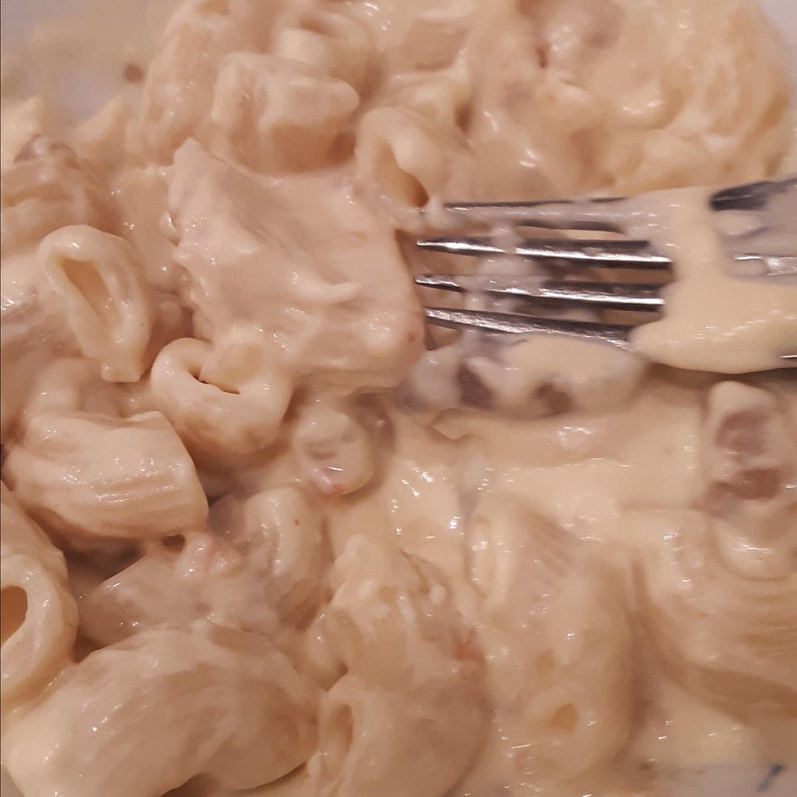 Slow Cooker Chicken Stroganoff