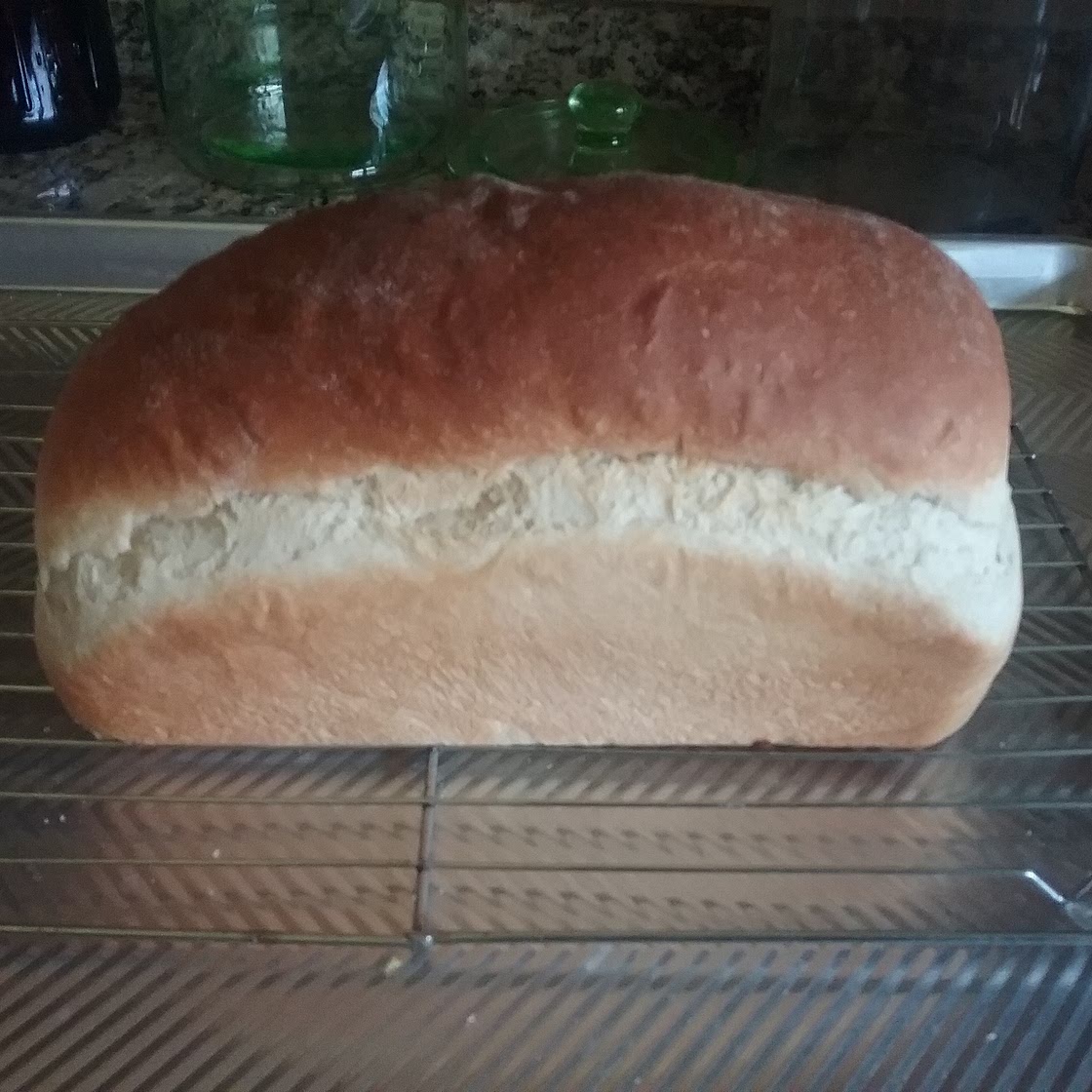 White Bread For The Bread Machine