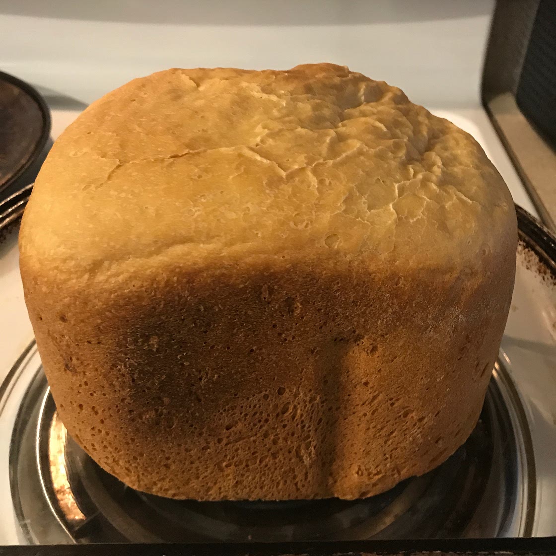 White Bread For The Bread Machine