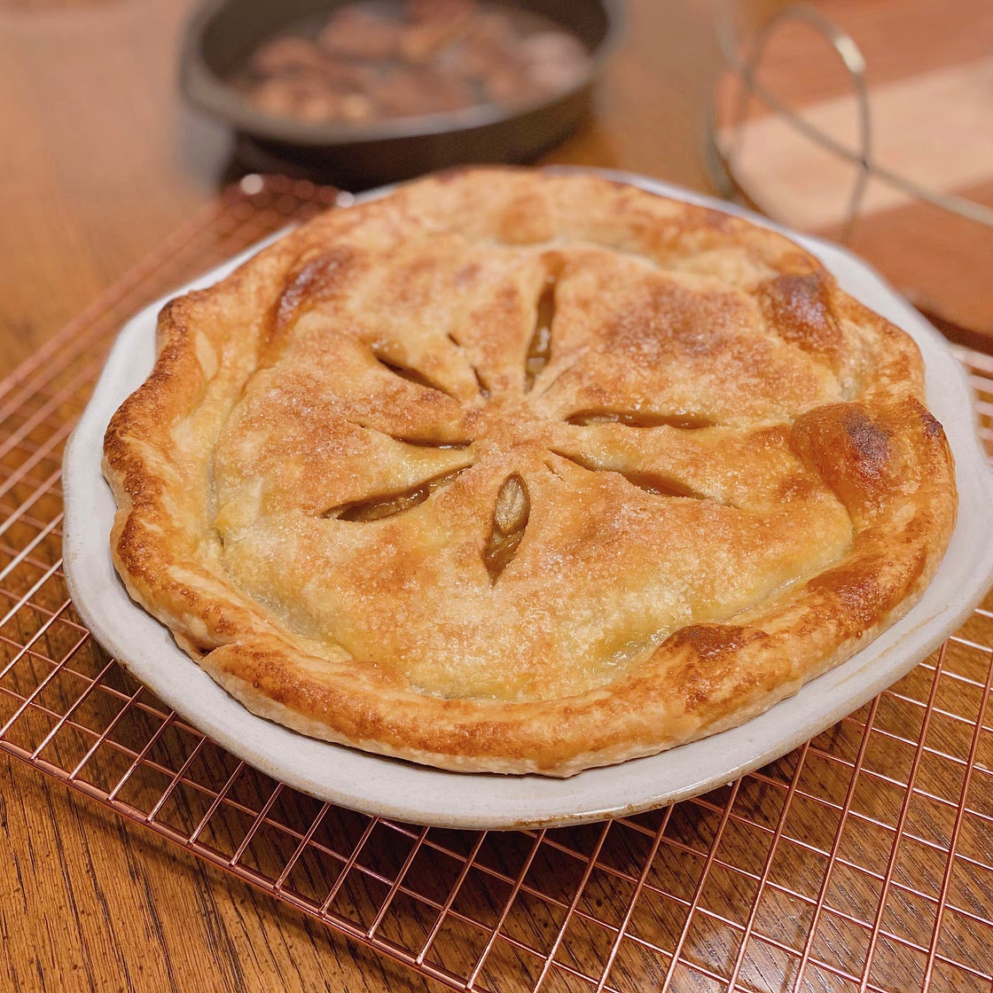 Butter Flaky Pie Crust