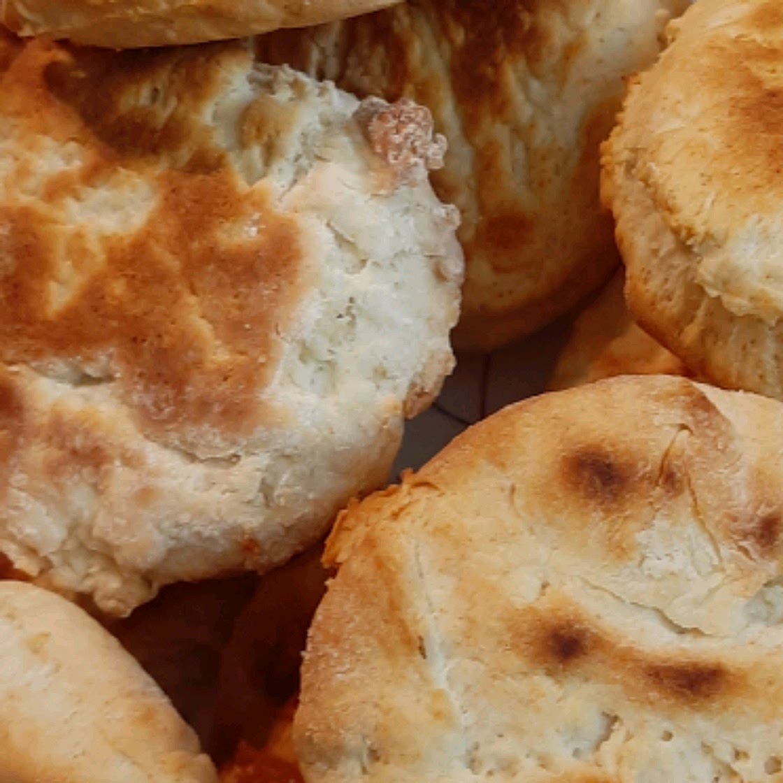 Basic Biscuits