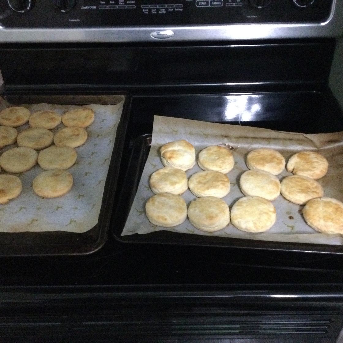 Basic Biscuits