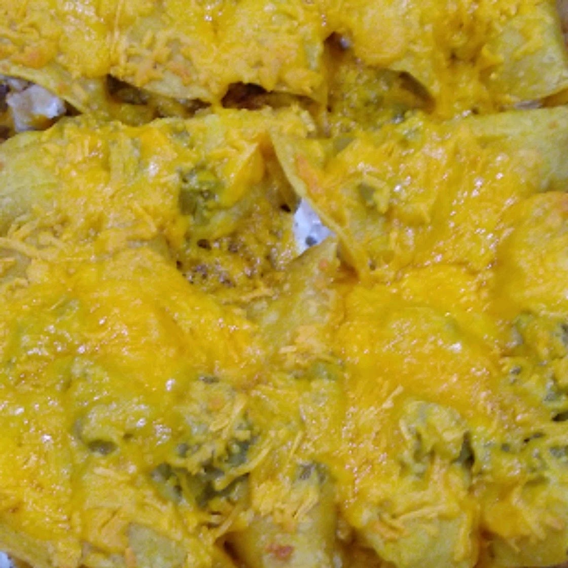 Enchanted Sour Cream Chicken Enchiladas