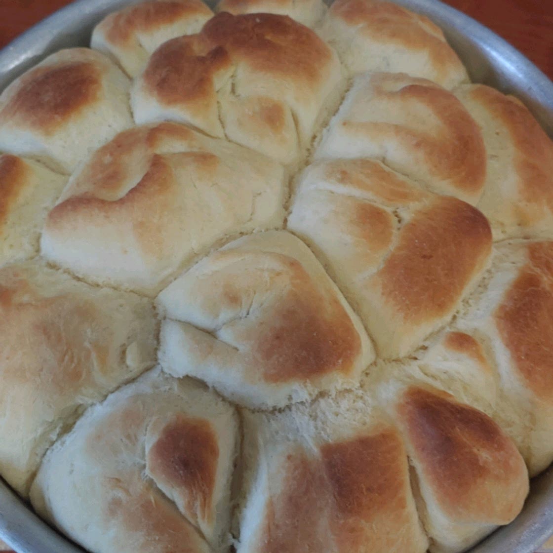 Soft Dinner Rolls