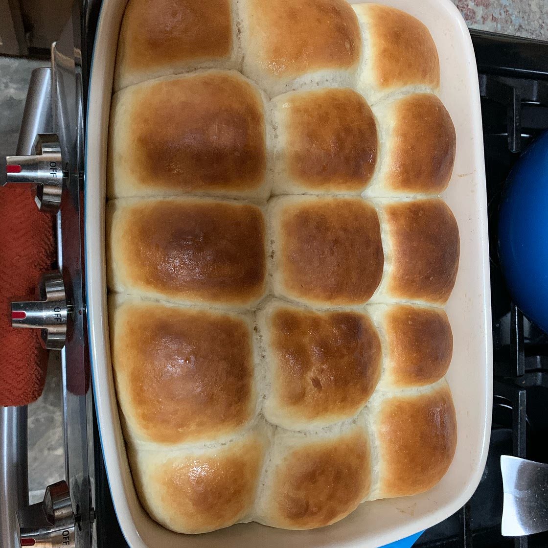 Soft Dinner Rolls