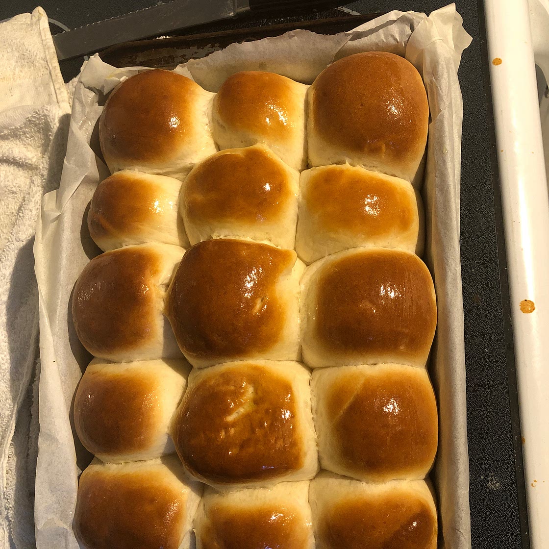 Soft Dinner Rolls