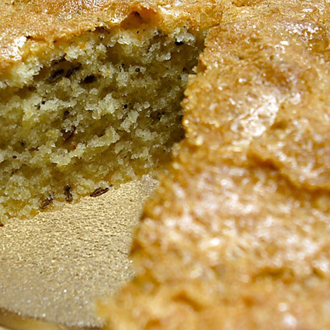 Seed Cake | 1861 Recipe - OAKDEN