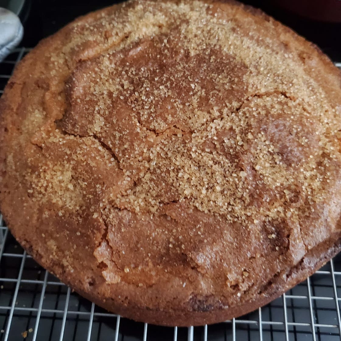 Seed Cake | 1861 Recipe - OAKDEN