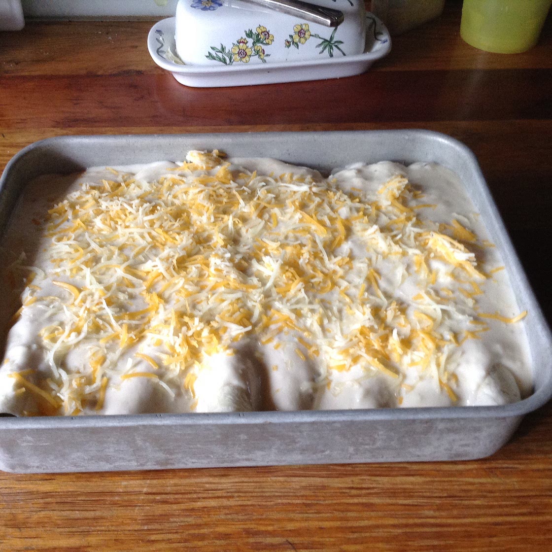 Chicken Enchiladas II