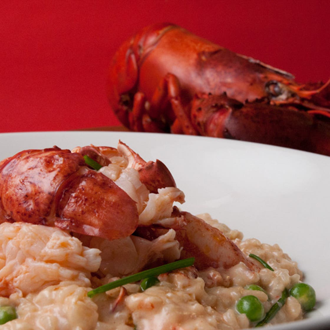 Lobster Risotto