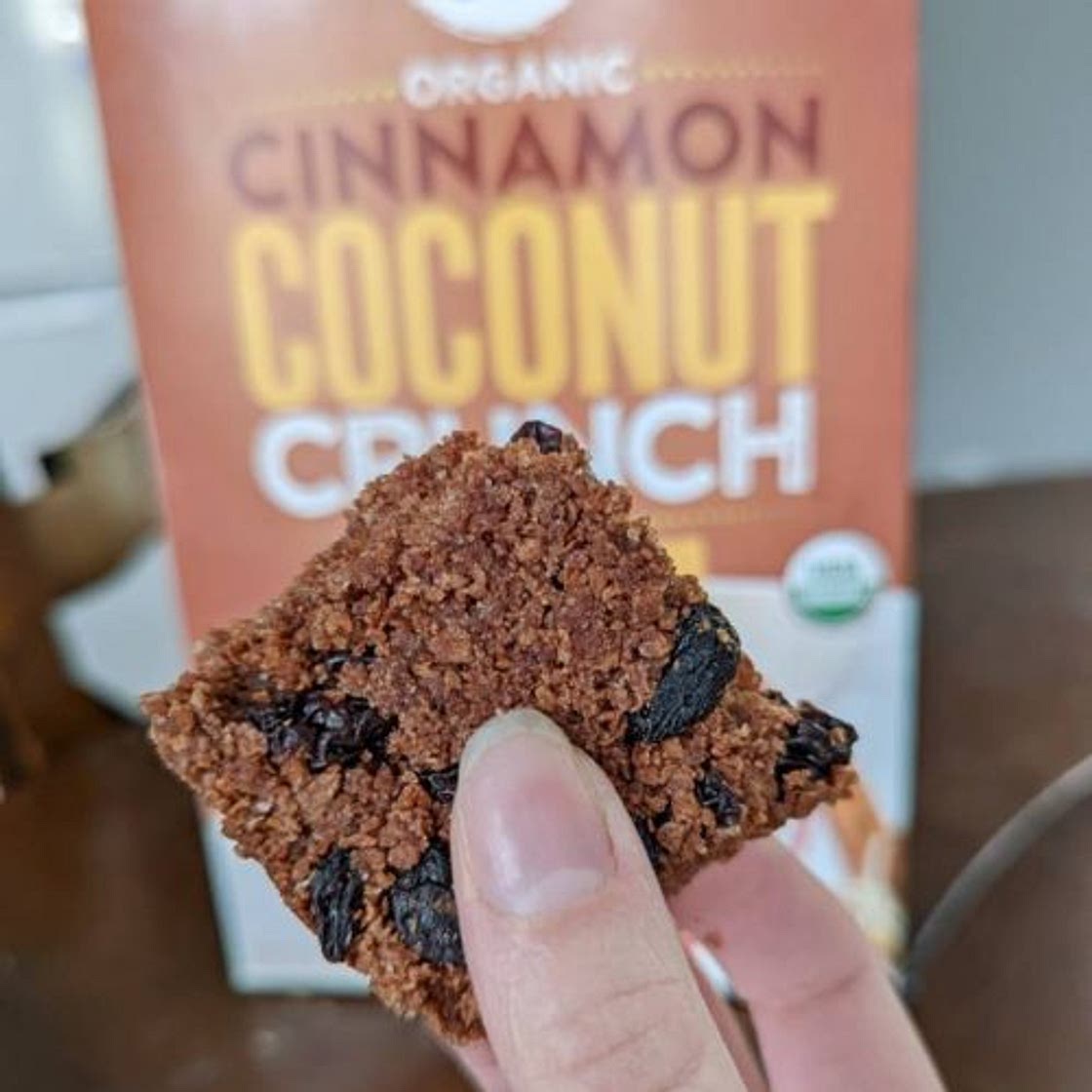 AIP Breakfast Bars with Cinnamon and Raisins