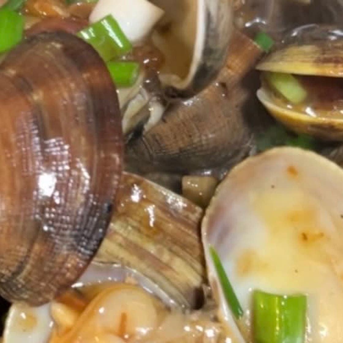 Live Pippies in XO Sauce