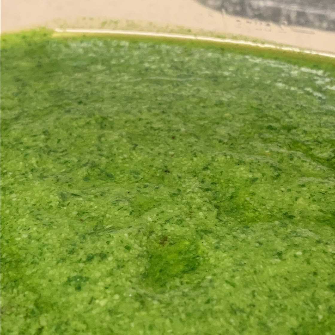 Pesto