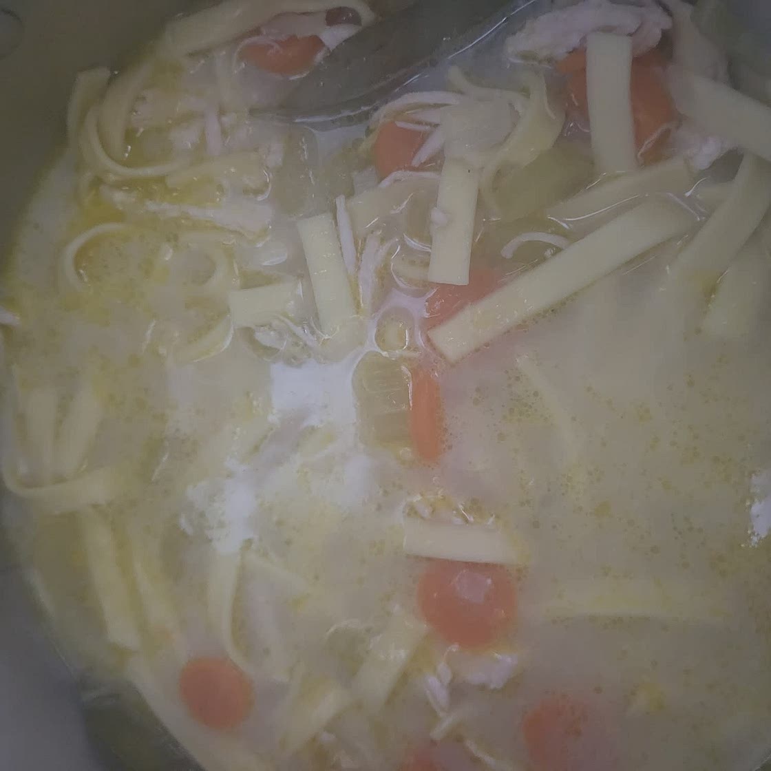 Homestyle Chicken Noodle Soup