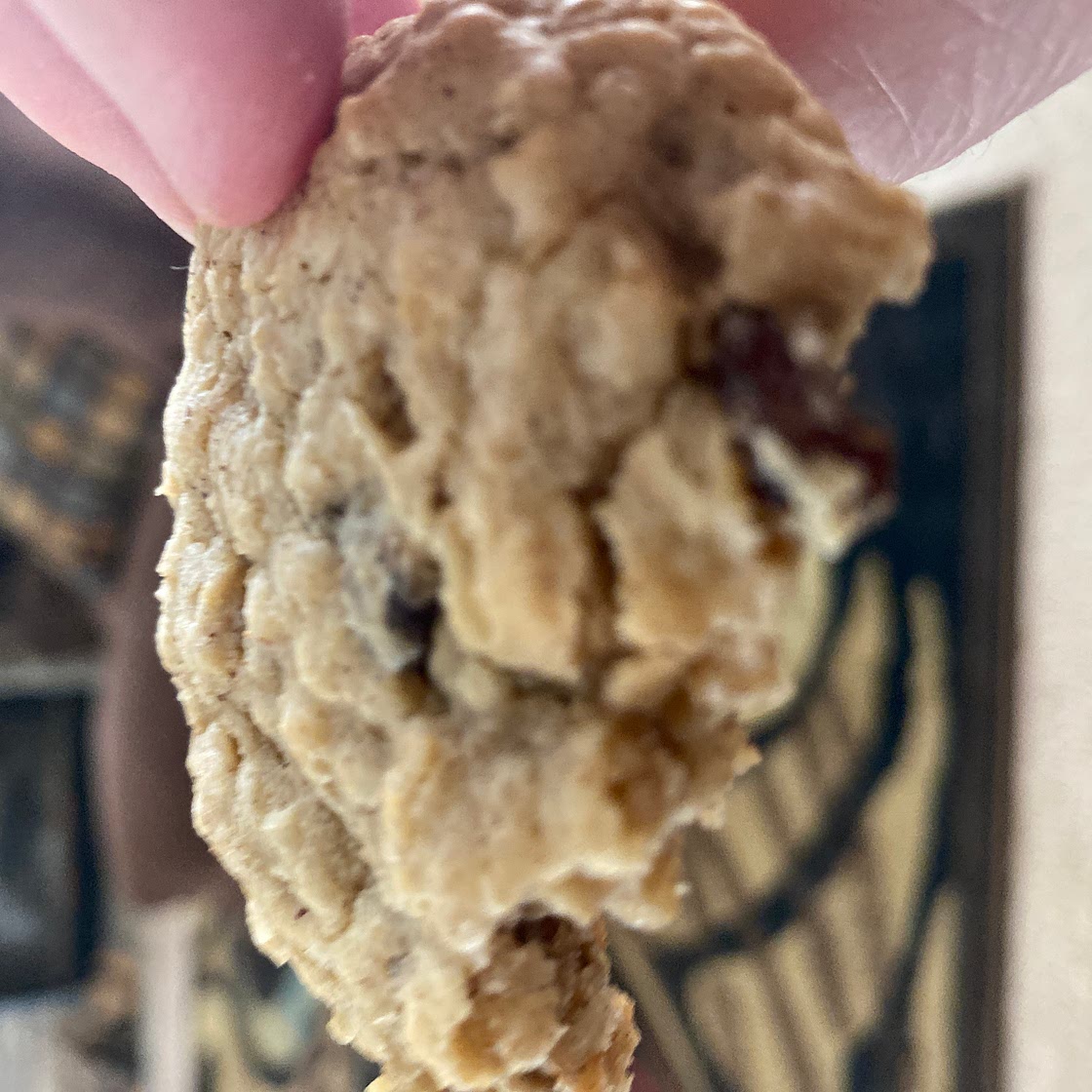 Soft Oatmeal Cookies