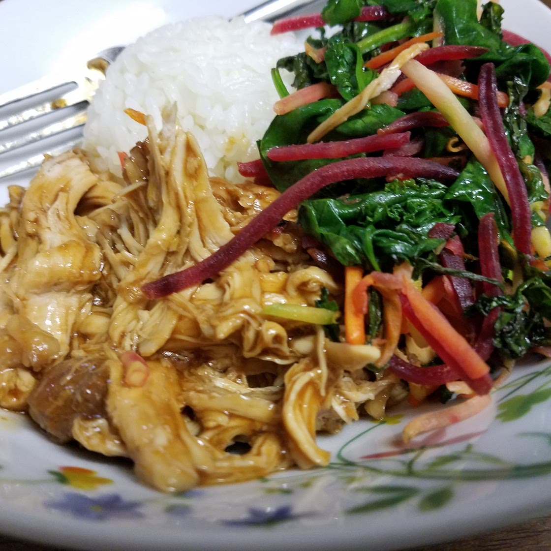 Slow Cooker Teriyaki Chicken