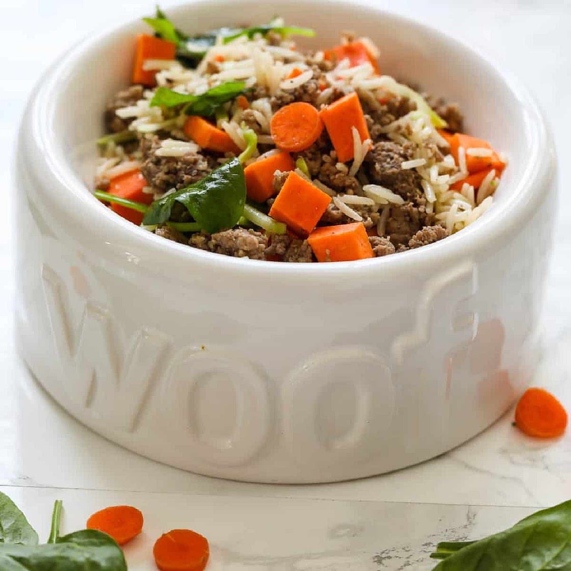 Homemade Dog Food Recipes (30+ Ideas!)