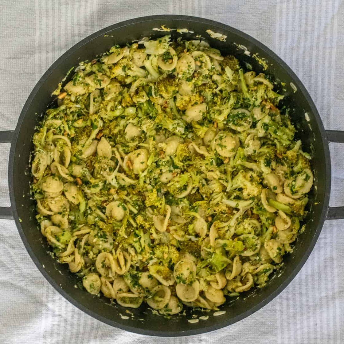 Pasta in Italian broccoli sauce