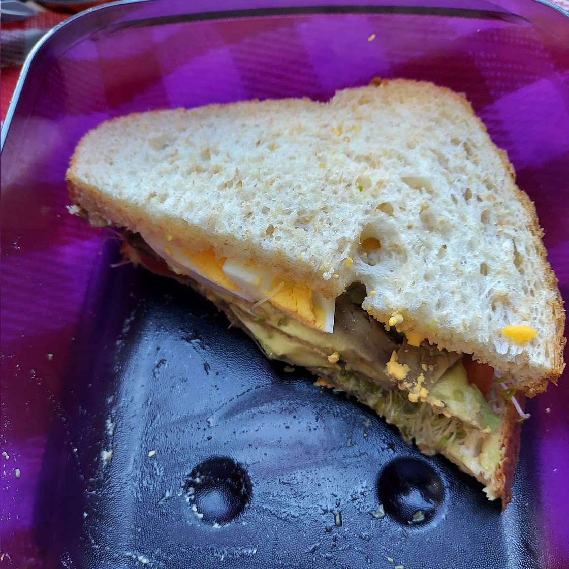 Egg and Avocado Pesto Sandwich