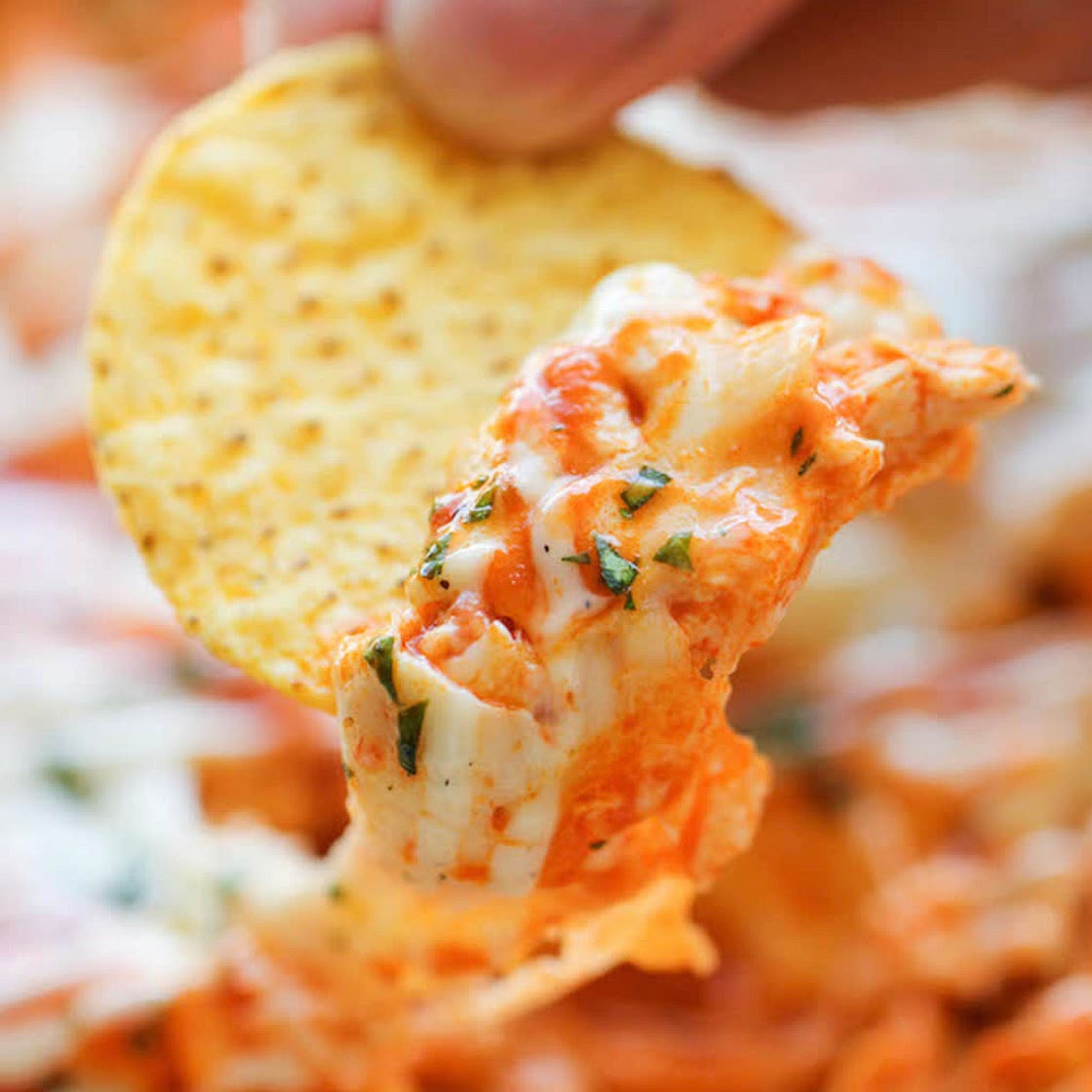Buffalo chicken dip 