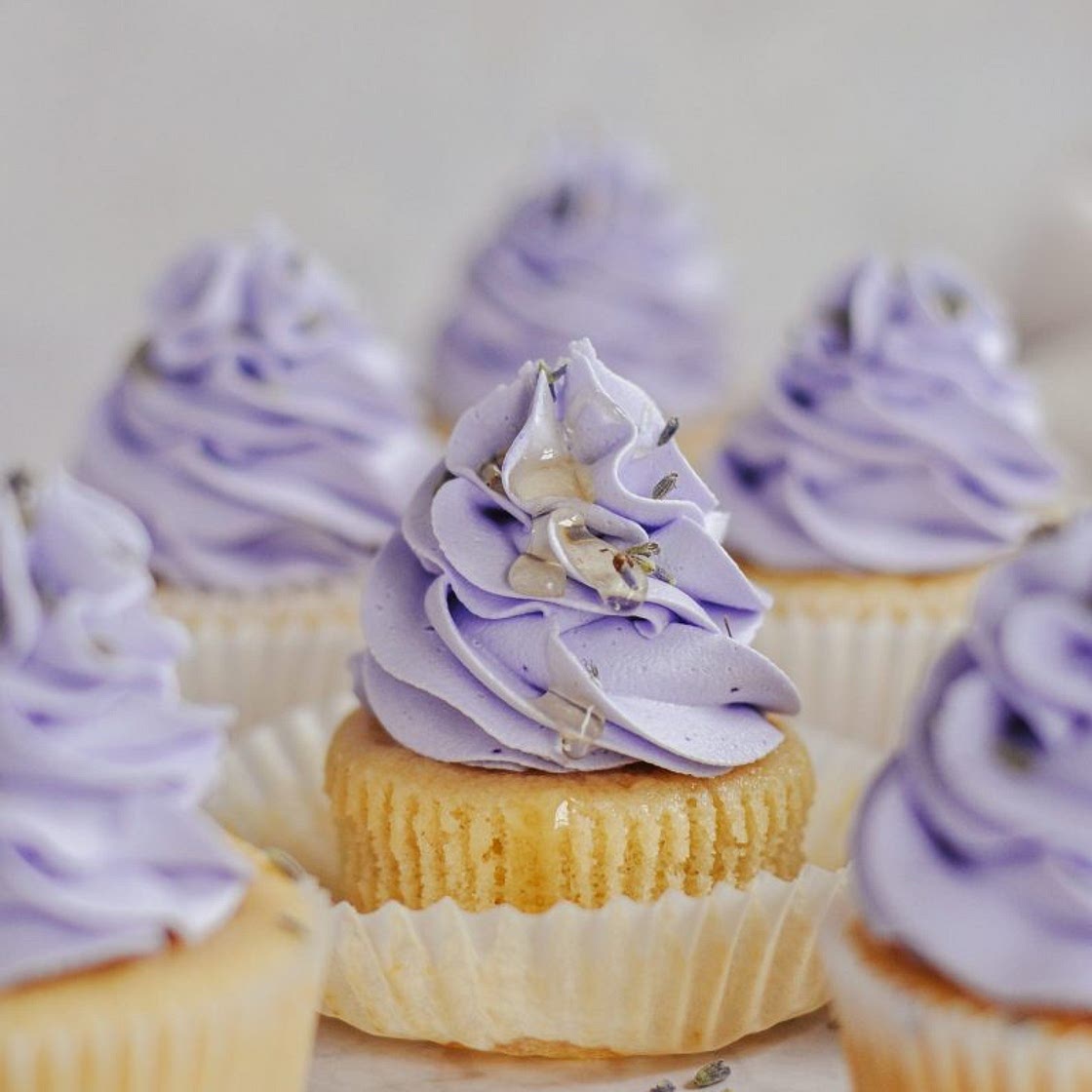 Honey Lavender Cupcakes