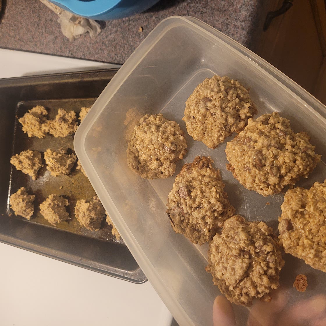 Chewy Chocolate Chip Oatmeal Cookies