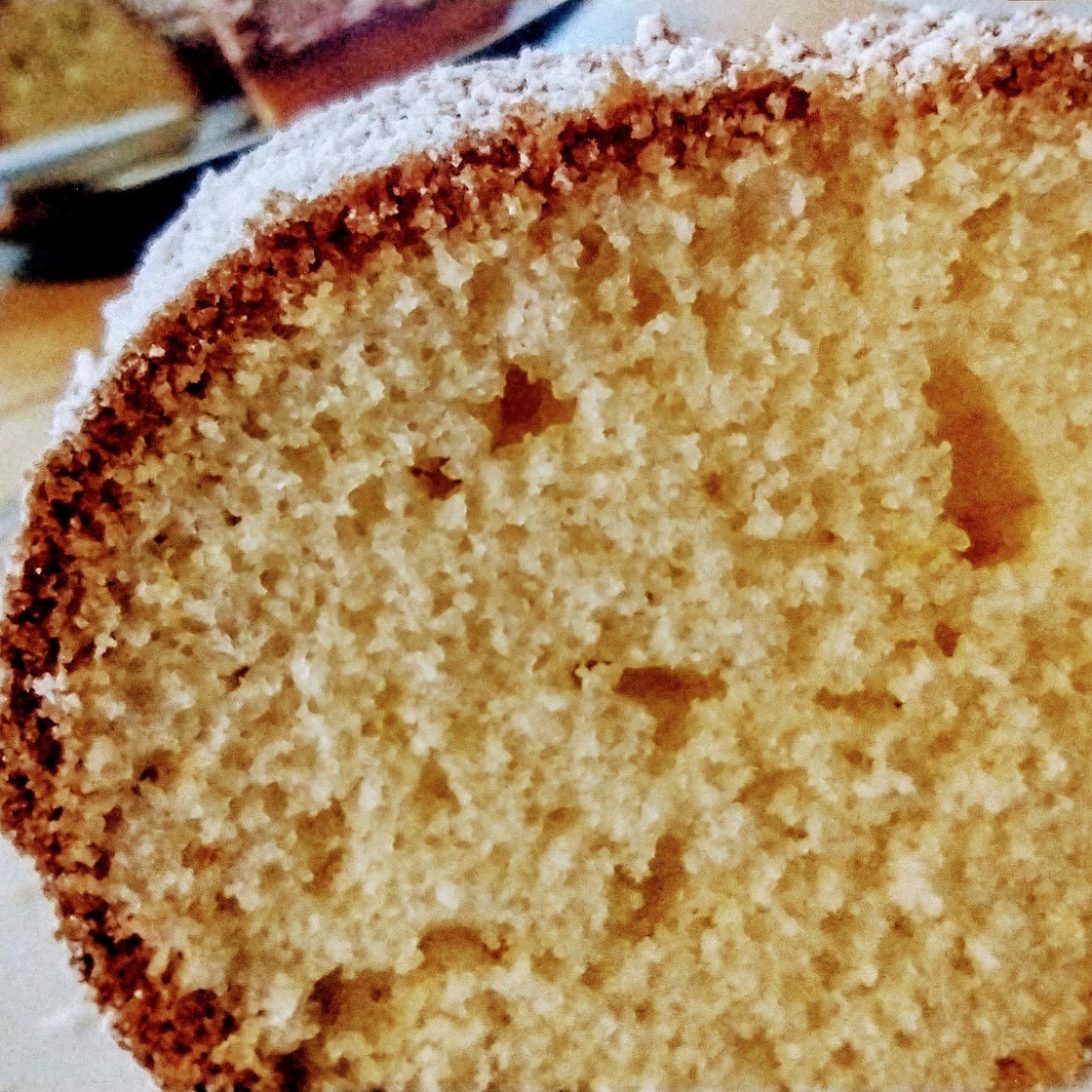 LEMONY OLIVE OIL CAKE