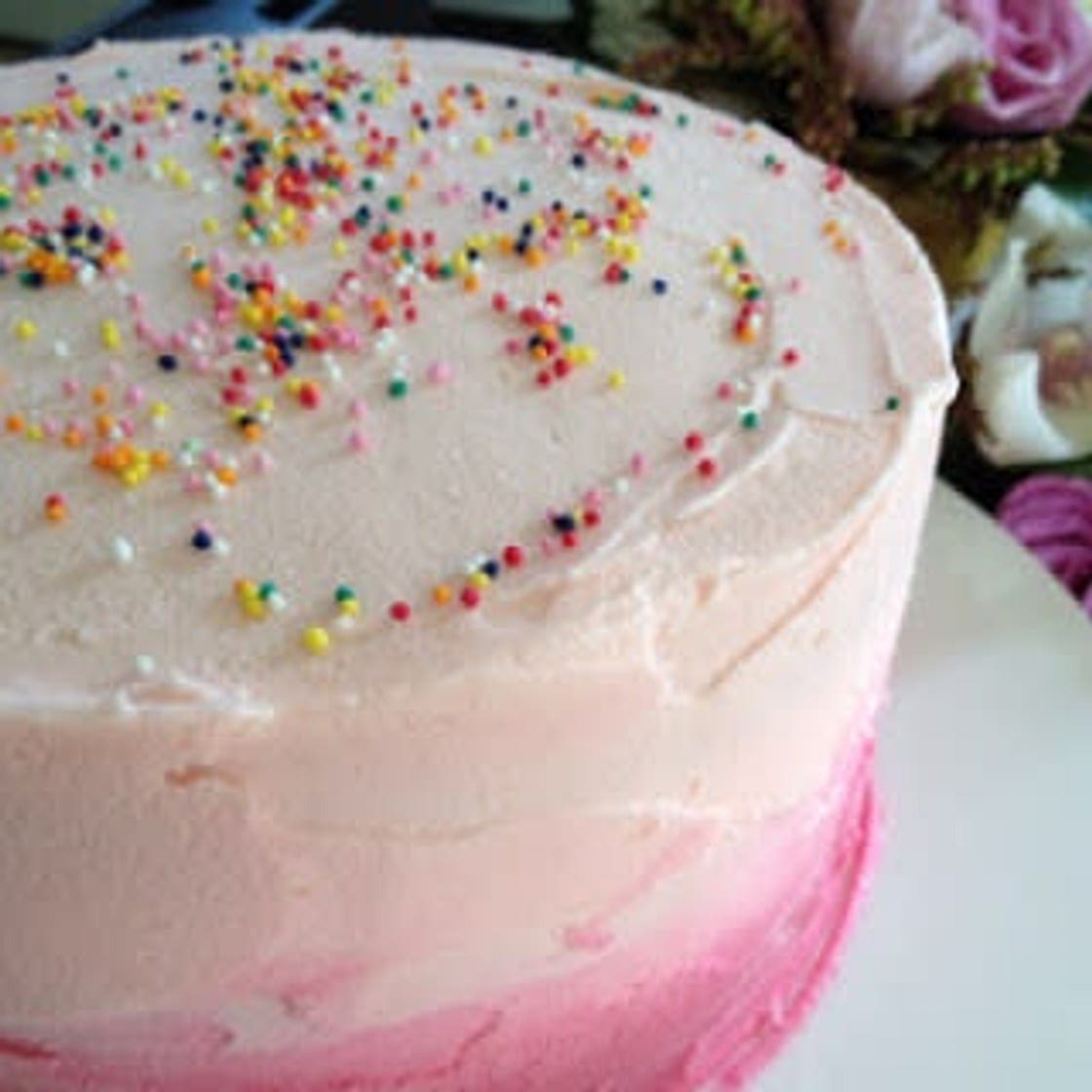 Pink Ombre Vanilla Cake — Sophie Likes Cake