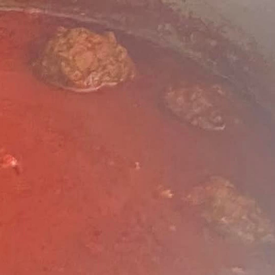 Italian Tomato Sauce, Meatballs & Sausages