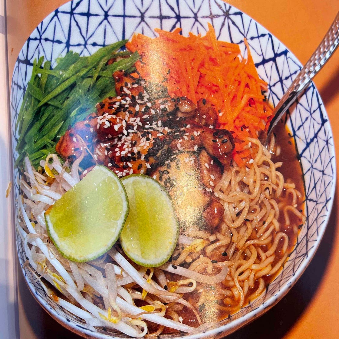 Poulet Teriyaki