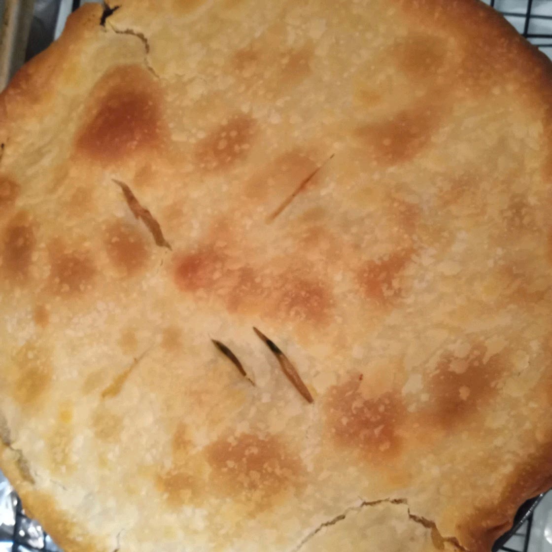 Chicken Pot Pie IX