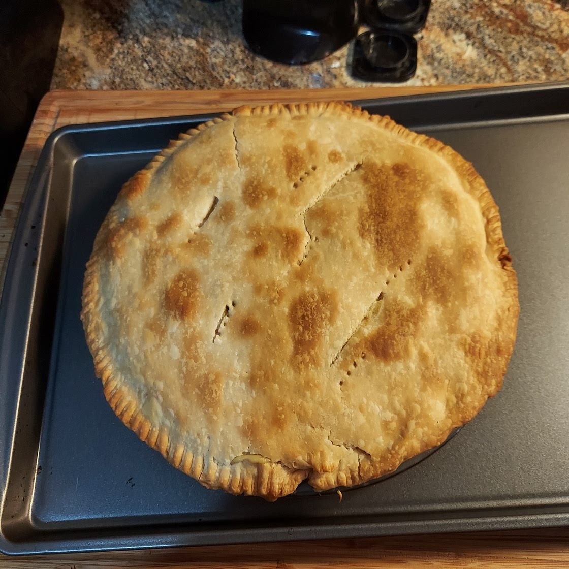 Chicken Pot Pie IX