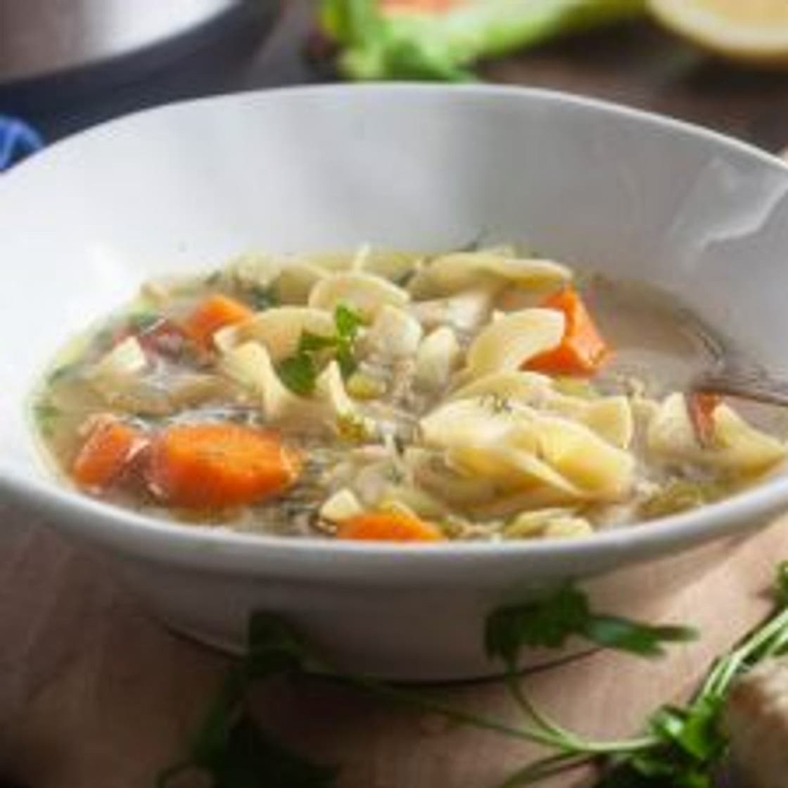 Instant Pot Chicken Noodle Soup