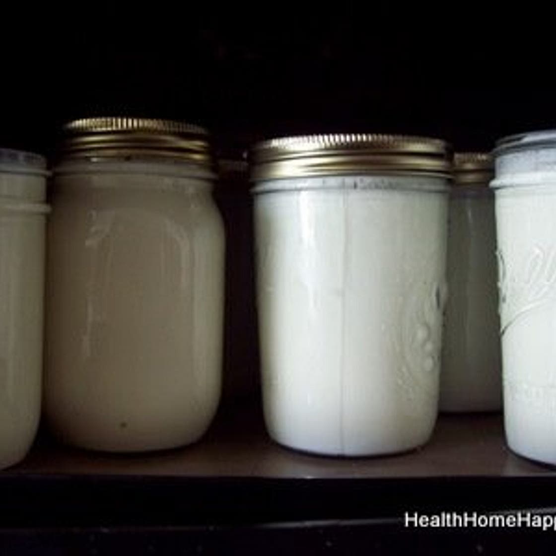 Making SCD/GAPS Yogurt in the Dehydrator