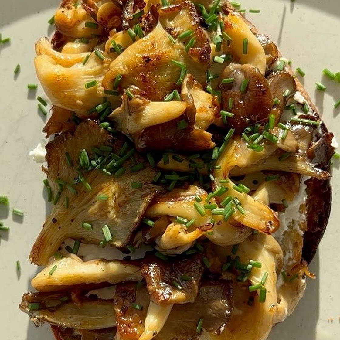 Wild Mushrooms and Ricotta on Toast