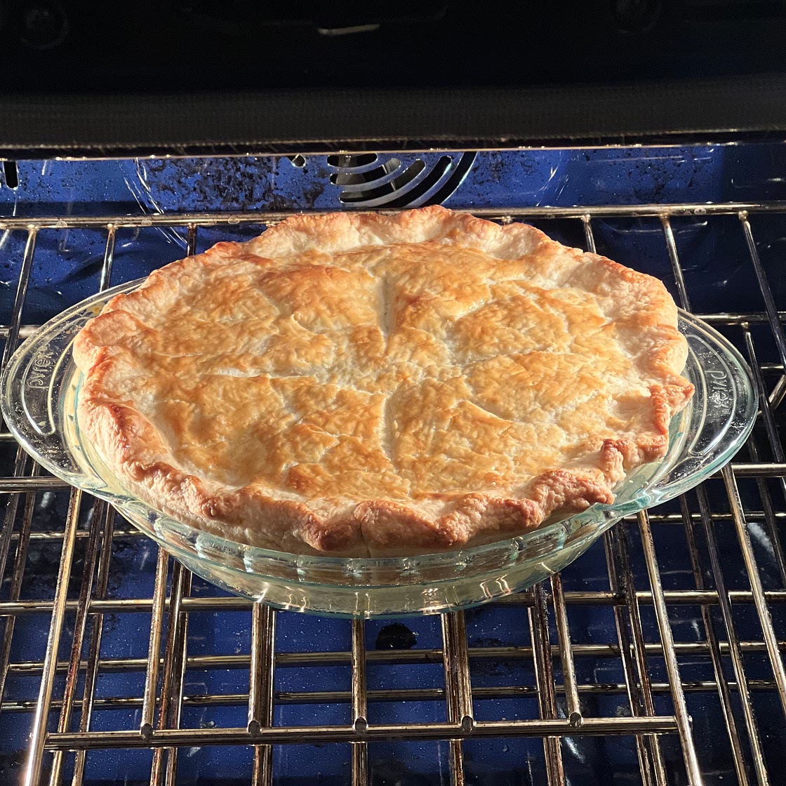 Chicken Pot Pie IX