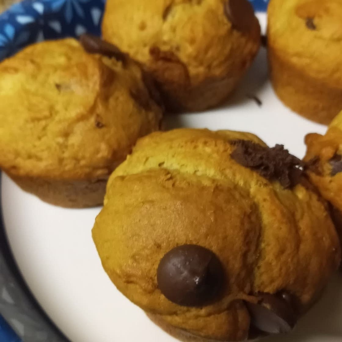 Vegan Chocolate Chip Banana Bread