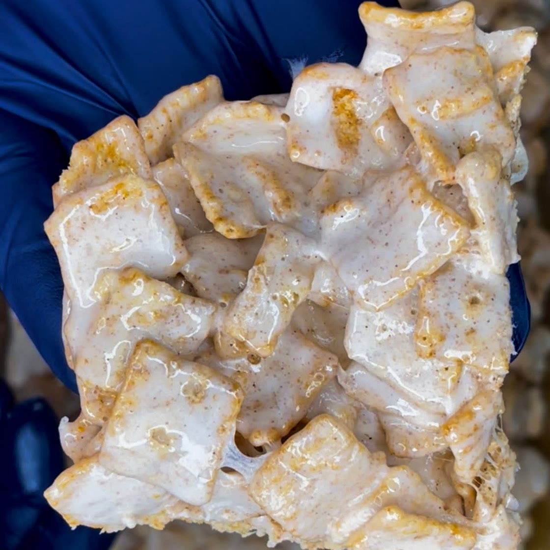 Cinnamon Toast Crunchies
